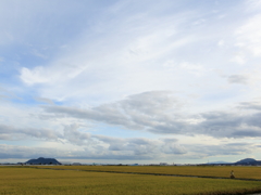 大野平野