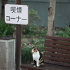 先客