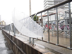 P2150247