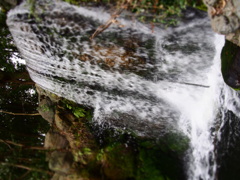 P3300635