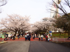 P3300637