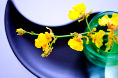 花の名前...何だっけ...