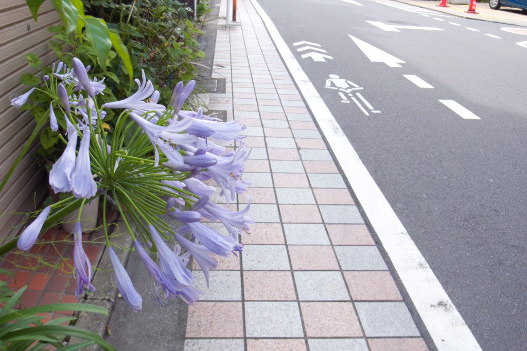 歩道脇