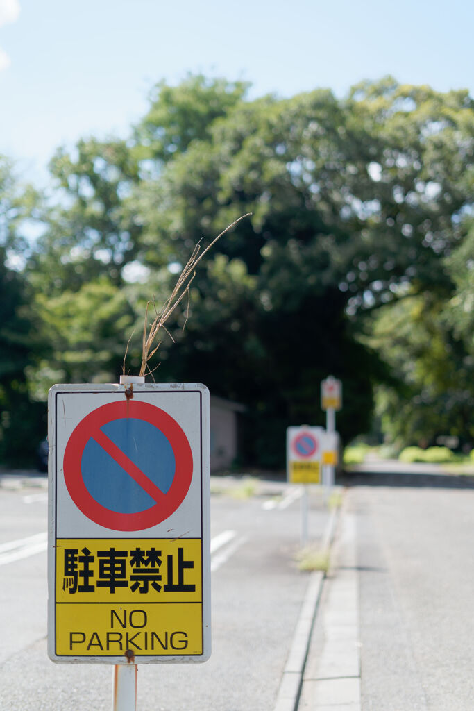 駐車禁止
