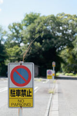 駐車禁止