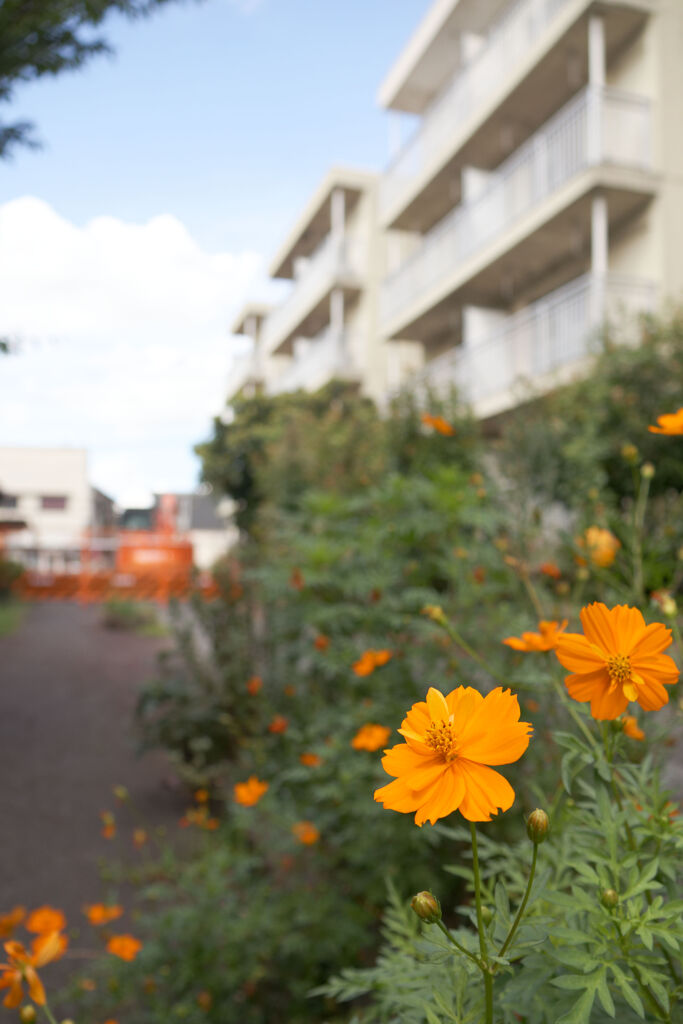 それでも花は咲く
