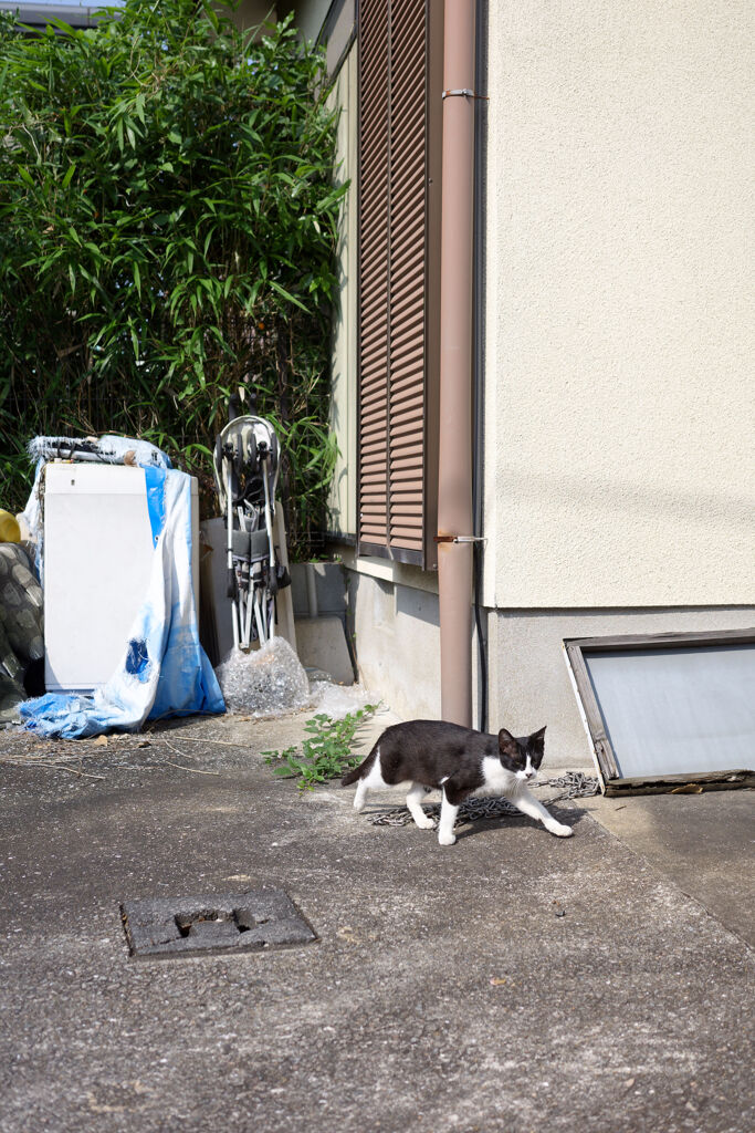 はいちょっとゴメンなさいよ