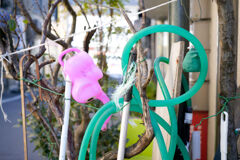 ピンクと緑