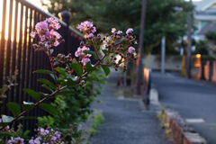 夕暮れ
