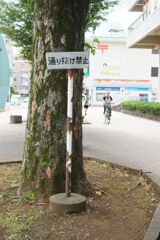 いや、ちょっと無理