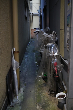 ビニール
