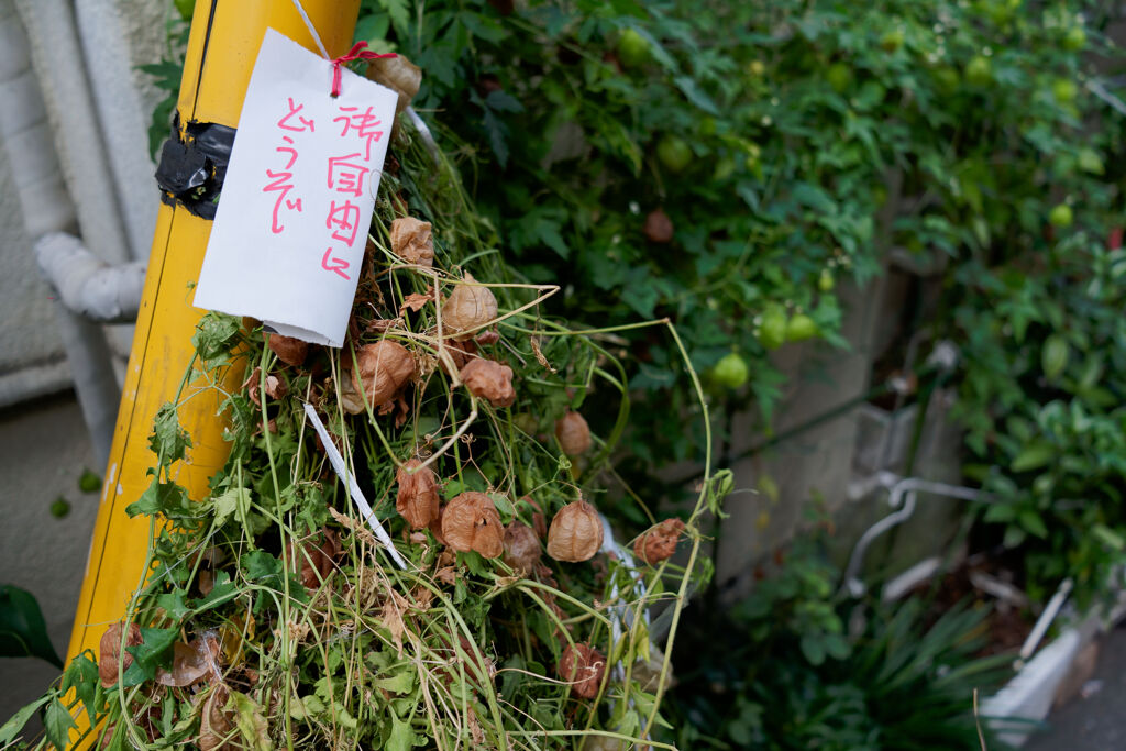 御自由にどうぞ