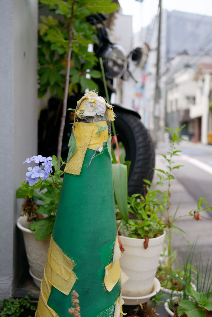 ひょっこり