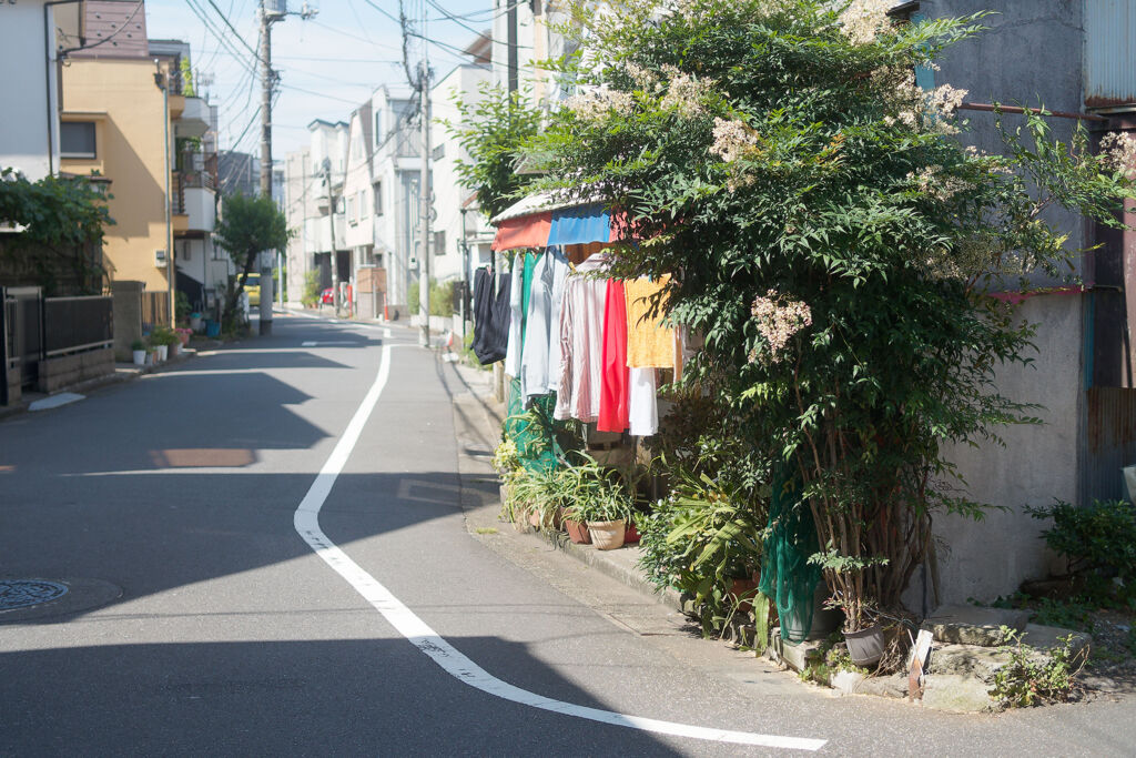 洗濯日和