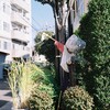 街角のカカシ