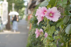 バス通り