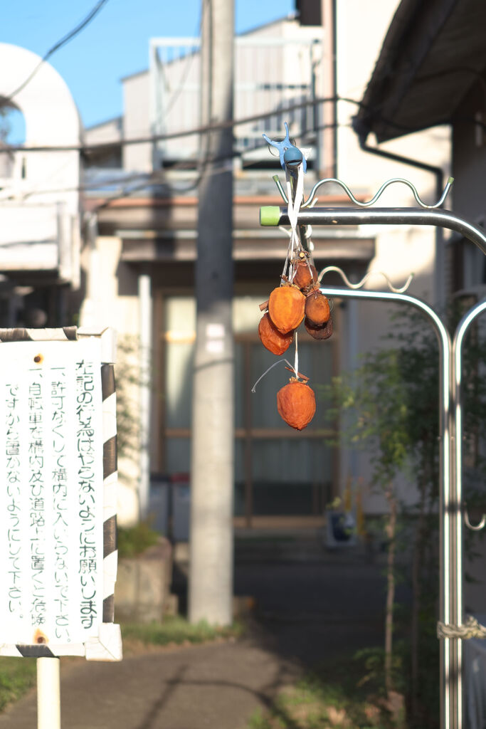 干し柿