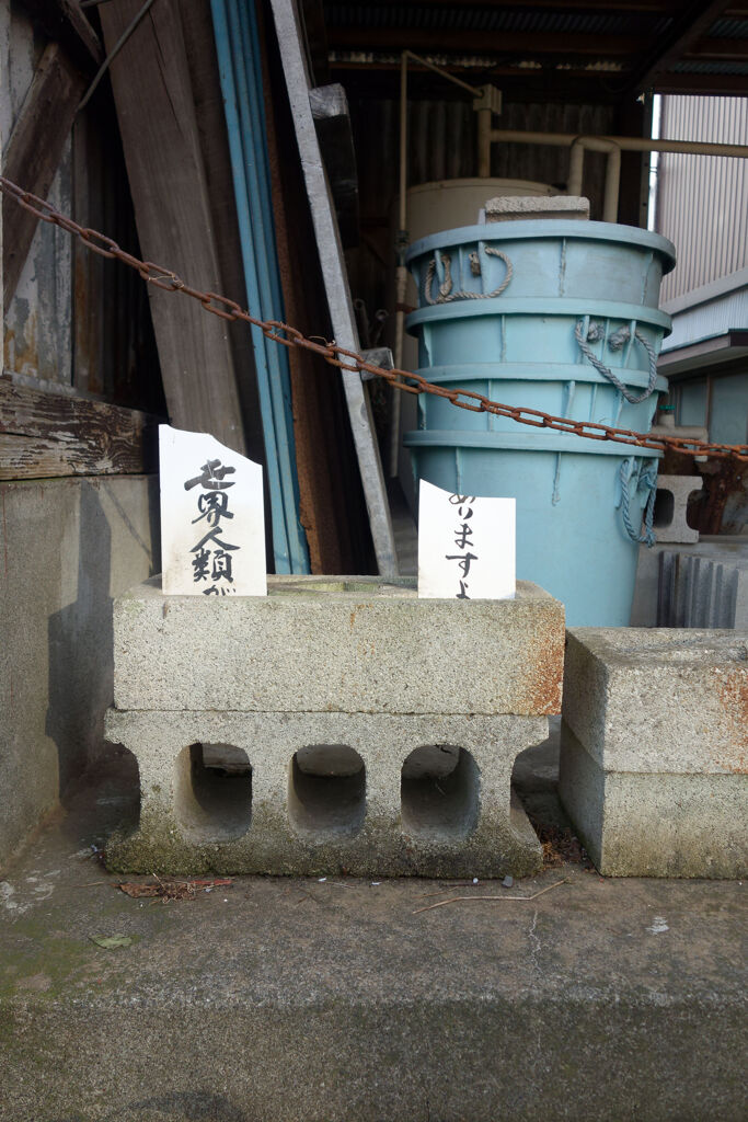 世界人類