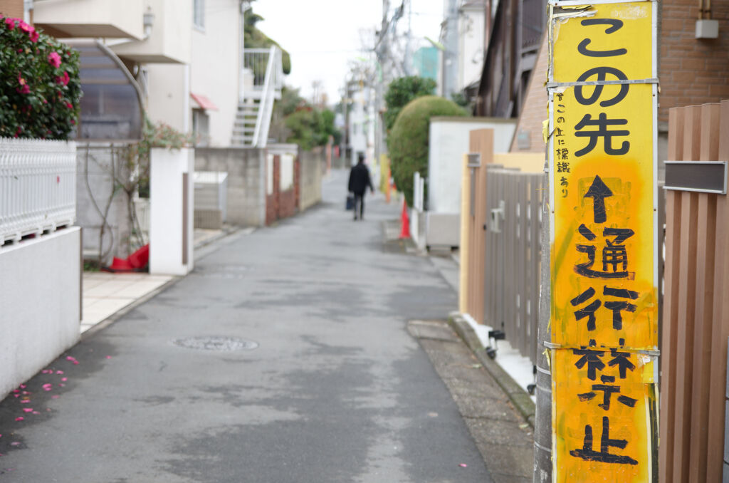 この上に