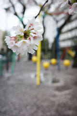 雨の日に１