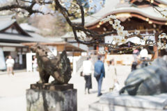 天神様の梅