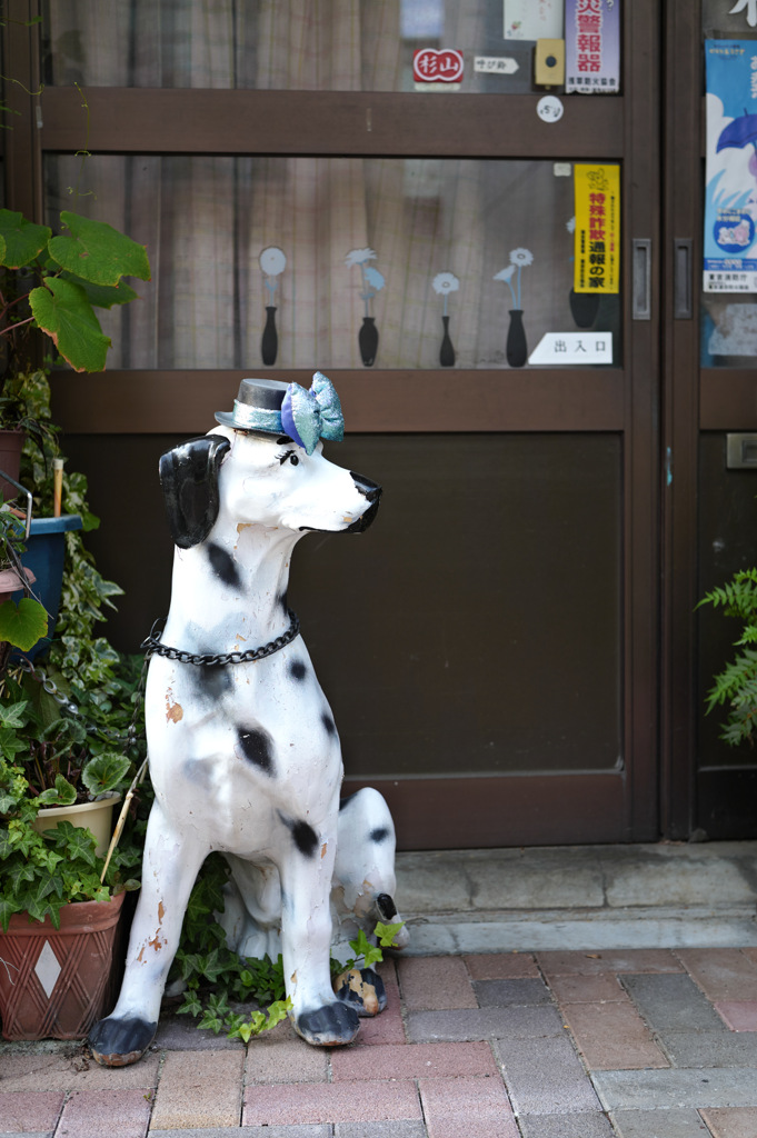 帽子に蝶ネクタイ