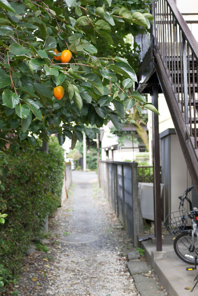 柿のなる路地
