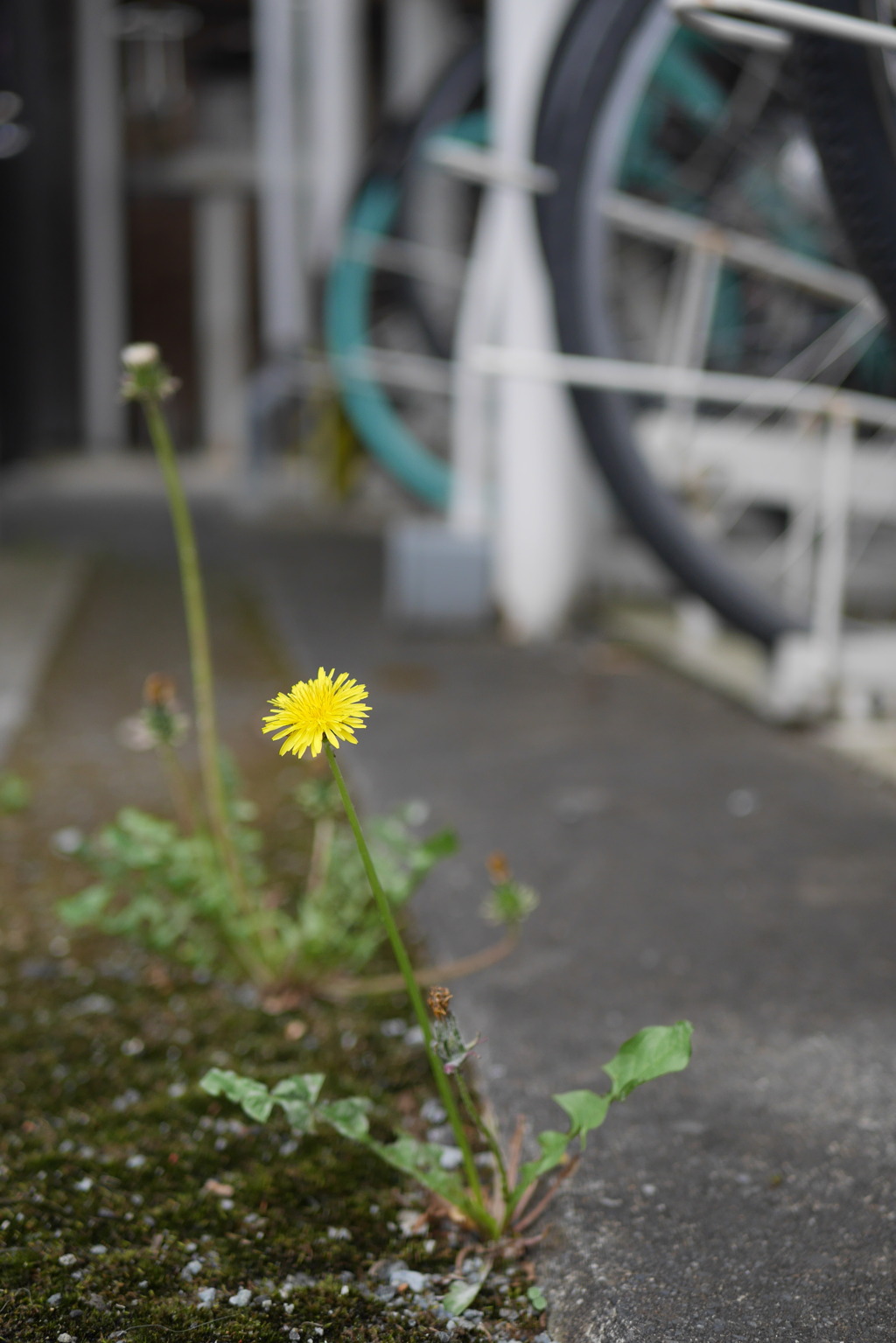 駐車場で