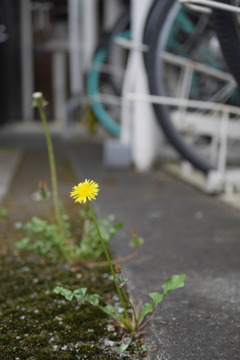 駐車場で