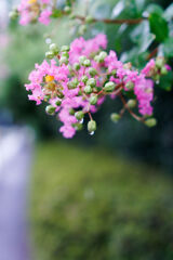 雨に