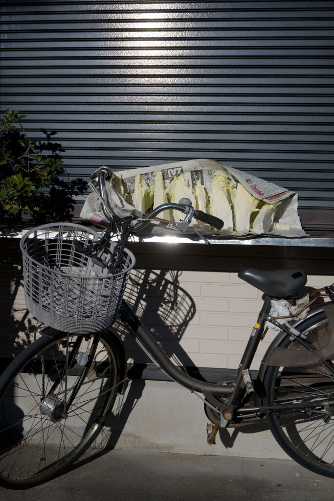 はくさいと自転車