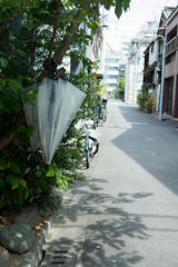 陰干し