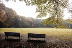 雨の公園