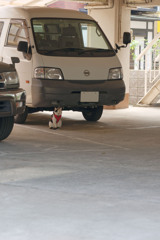 そんなところでどうしたの？