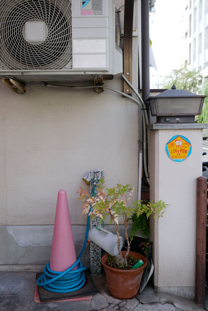 ホースと鉢植