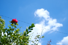 空に向かって