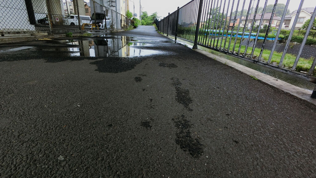犬の日常_177