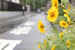 曲がり角