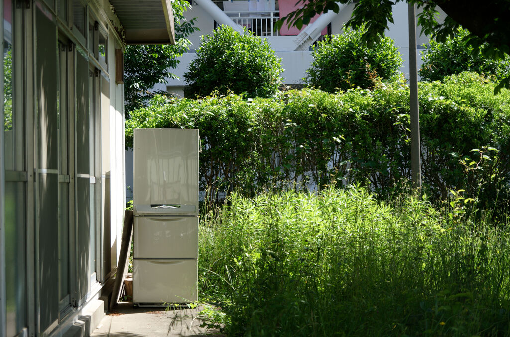 野良冷蔵庫