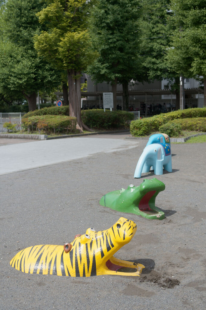 虎？？