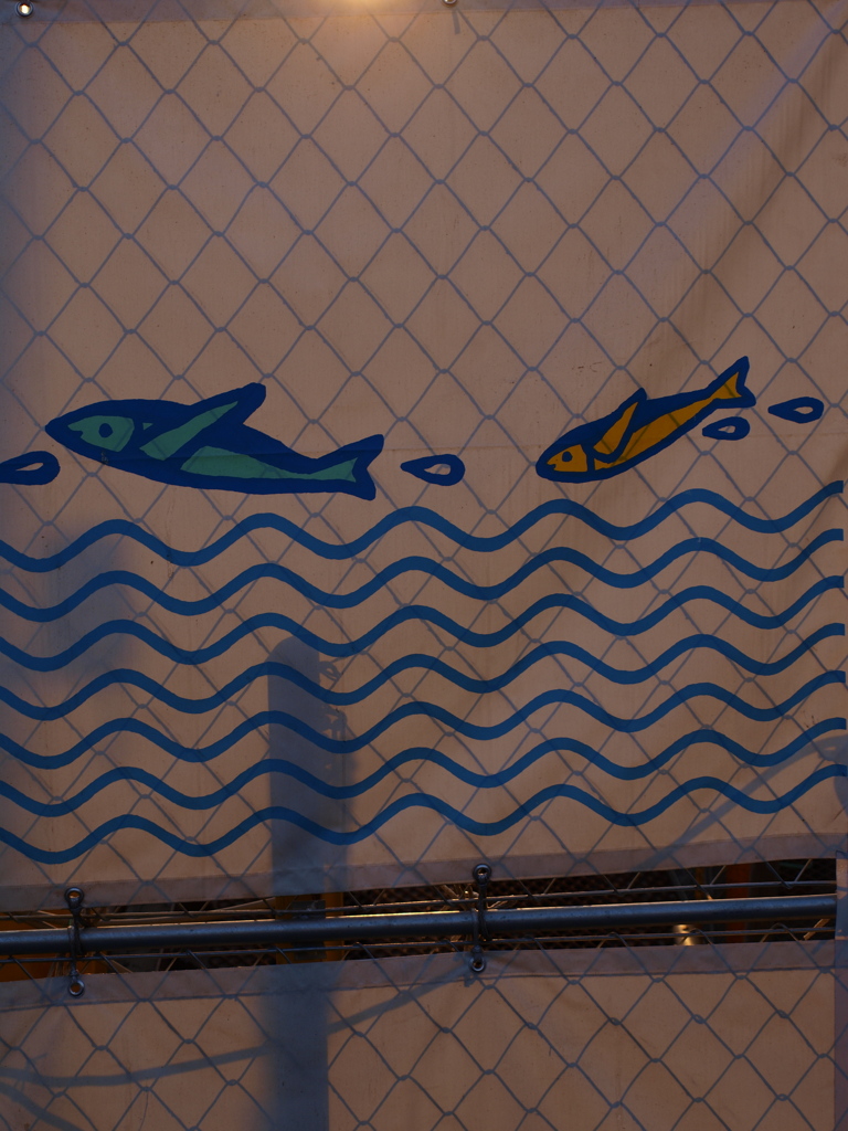 SWIM