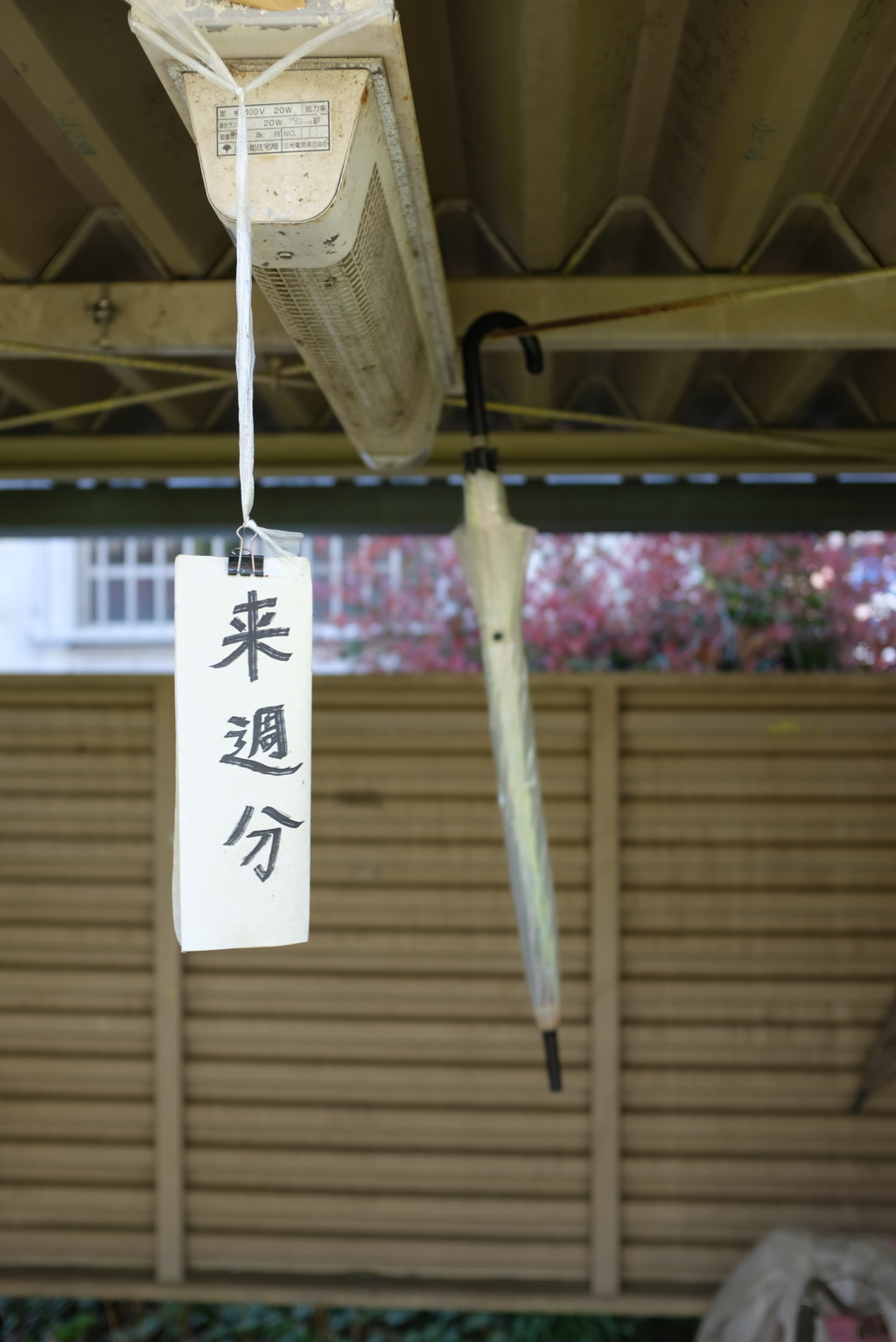 来週分