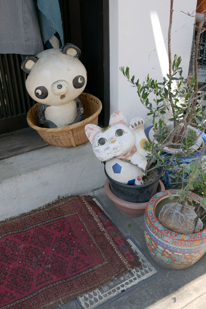 猫と熊猫