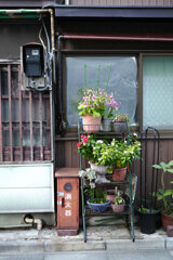鉢植えと消火器