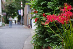 路地