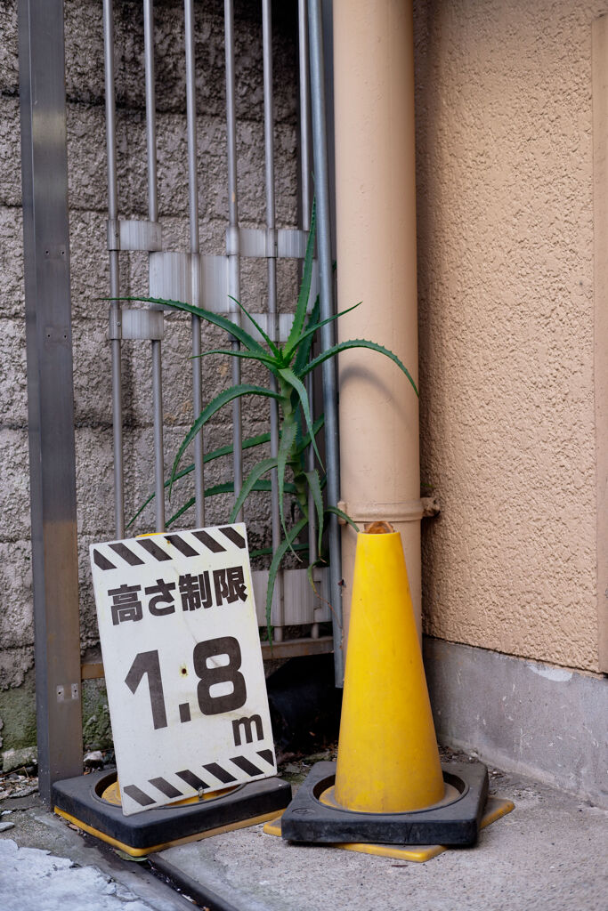 まだまだ余裕