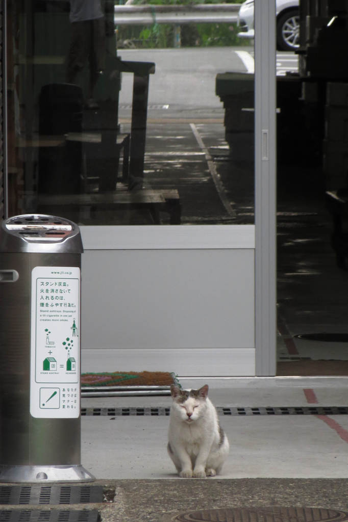 今日はお休みじゃよ。