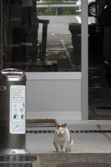 今日はお休みじゃよ。