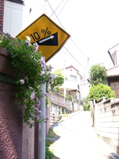 10％