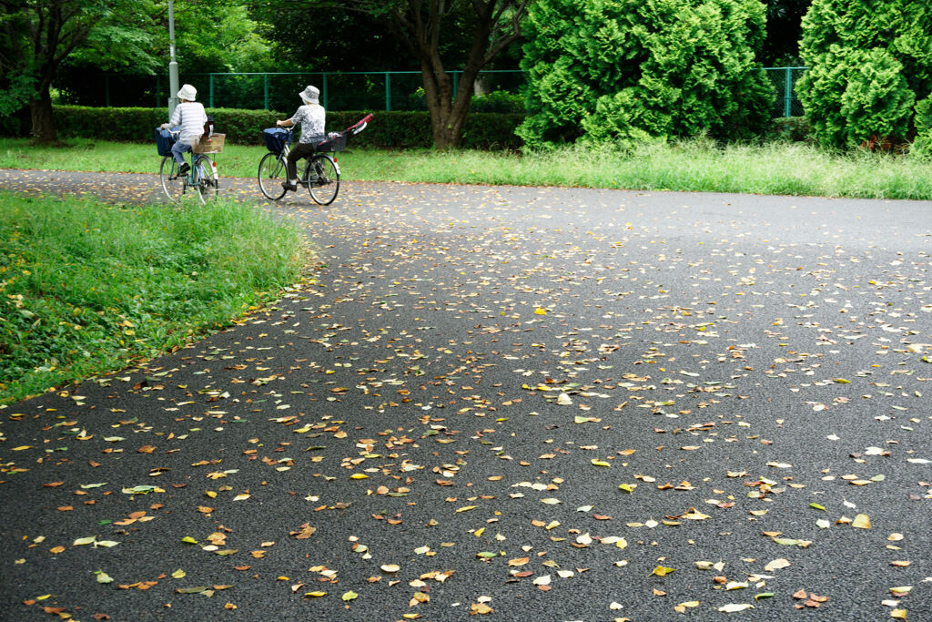 帰り道